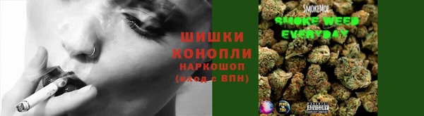 спайс Беломорск